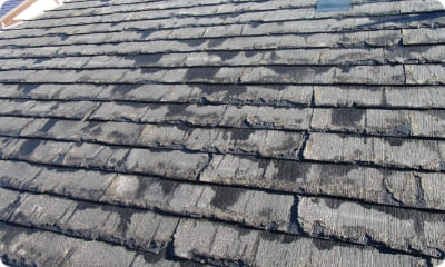 パミールの画像